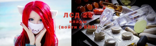 амф Беломорск