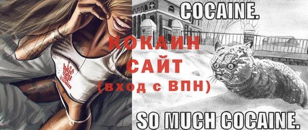 спайс Богданович