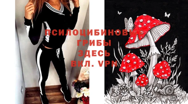 хмурый Белоозёрский