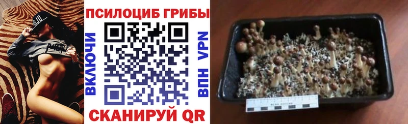 Псилоцибиновые грибы мухоморы сколько стоит Вельск